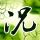 《急难先锋20》免安装中文正式版下载发布