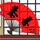 原版布雷斯特国立工程师学校文凭学位【degxx.com】